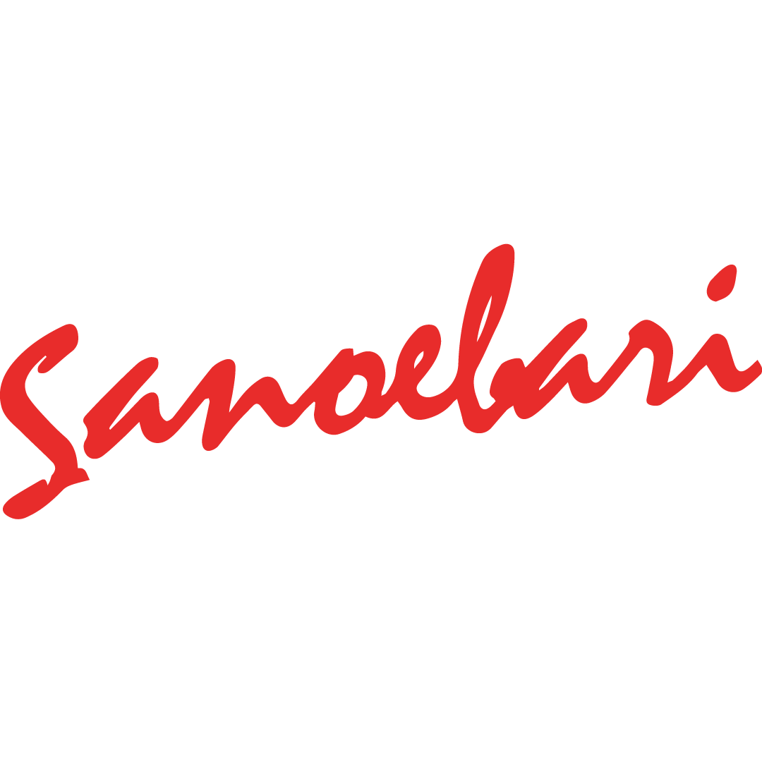 logo sanoebari